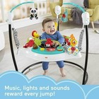 Fisher-price Baby Bouncer Pink Petals Jumperoo Musical Activity Center