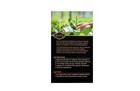 Private Selection Chai Black Tea 20 Ct 2 Pack
