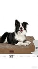 Orthopedic Dog Bed For Large Dogs - Removable Washable Cover  Usa Shipping