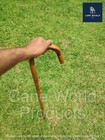 Rattan Cane Walking Sticks 45 Inches Length  0 7 Inch Diameter antique classic