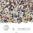 3lb Pebbles For Indoor Plants river Rocks For Succulent Plants aquarium Gravel d