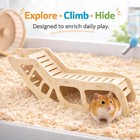 Versatile Hamster Hideout exploration Tunnel -wooden Climbing Small  Wood