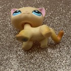 Hasbro Lps Littlest Pet Shop Shorthair Cat Yellow Brooke Hayes Lps Popular  339