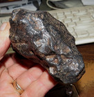 740 Gm   Canyon Diablo Iron Nickel Meteorite Museum Grade W  Stand And Label Jal