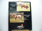 543 Vintage Appaloosa News Magazine Original September 1978