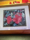 Gary Reed Hibiscus Edition Print 17 14 Hand Signed Nice Wood Frame