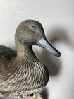 Flambeau Floater  Duck Decoy 1998  16   