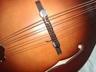 The Loar Lm-110 E With Gigbag And Accessories