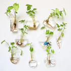 Hanging Glass Flower Vase With Terrarium Wall Fish Tank Aquarium For Home Garden