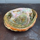 Vtg Natural Abalone Shell Iridescent Seashell Bowl Dish Decor Large Sea 8 