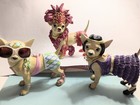 Aye Chihuahua Figurines Lot Of 3 Westland Collectibles 