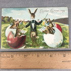 Antique Easter Postcard Lot Of 3 Anthropomorphic Bunny Rabbits Early 1900s