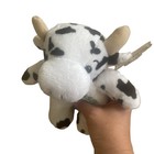 Souvies 2002 Indiana Black   White Cow Plush New 