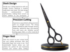 Hair Cutting Scissors Hairdressing Thinning Scissors Professional Barber Shears
