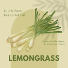 Lemongrass Essential Oil 100  Pure Many Sizes Free Shipping