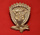 Civil War 1851-1872 Jeff Davis Hardee Hat Eagle Pompon Badge Restrike None Finer