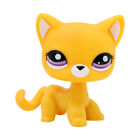 Mini Pet Shop Lps Orange Shorthair Cat Purple Eyes Who Love Lps Kids Gift Rare