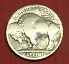 Hobo Buffalo Nickel T-rex Skull Real Us Nickel