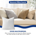 Pillow Insert 16x16 Inch  Decorative Square Throw Pillow Inserts  Premium Fluffy