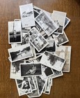 Vintage Photos Lot Of 100 Old Photographs Mixed Subjects   Sizes Good Condition 