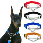 Large Dog Collar With Chain Pet Nylon Slip Training Adjustable