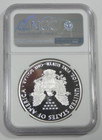 2019 S Usa Silver Eagle S 1 Ngc Pf 69 Ultra Cameo 1oz  999 Fine Silver