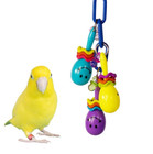 Super Bird Creations Sb1169 Maraca Mania For Small   Medium Bird Toy  Parrot Toy