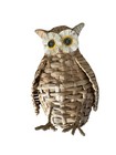 Vintage Mid Century Wicker Owl 10    Button Eyes