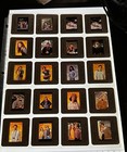 Malibu Shores Tv Show Press Kit Photos Slides Keri Russell Tony Lucca