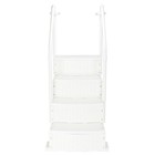 Swimming Pool Ladder Heavy-duty Non-slip Foot 4 Step Above Ground With Handrails