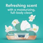 Pampers Clean   Calm Baby Wipes