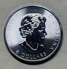2019 Canada  8 1 25 Oz Wildlife Series Bald Eagle-brilliant Uncirculated