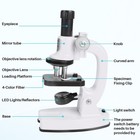 Beginner Microscope Science Kit For Kids 200x 600x 1200x Education Gifts