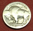 Hobo Buffalo Nickel Great White Shark Real Us Nickel