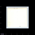 Square Color Photo Man Sitting In Chair With Glasses 1961