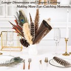Ballinger Large Natural Pheasant Feathers - 8-12inch 4 Styles 24pcs Assorted    
