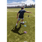 Sklz Reactive Agility Coach Trainer