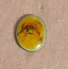 Vintage Pekingese Portrait Dog Breed Jacket Lapel Pin