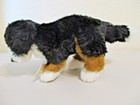 Webkinz Signature Bernese Mountain Dog -wks1017 New  Sealed  Unused Code 