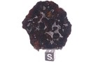 Sericho Pallasite Meteorite  Etched Full Slice Weight 19 4 Grams 2   Inch Usa