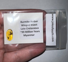 Dinosaur Age Fossil Amber With Bug And Pic Lot  Authenticity Tested  1 Per Order