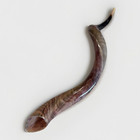 Yemenite Shofar Kudu Horn Xxl 42   - 44    New Natural Kosher Made Free Shipping