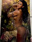 1 Budweiser Beer Poster   1 Random Poster - 2 Great Vintage Rare Posters -