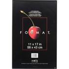 Mcs Plastic Format Frame For 11x17  Photograph  Black
