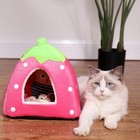 Hamster Guinea Pig Rabbit Dog Cat Chinchilla Hedgehog Bird Small Animal Pet Bed