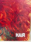 Vintage 1969 Hair Musical Souvenir Program Michael Butler Psychedelic Broadway
