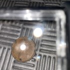 Elizabeth Ii Rare 1971 2 New Pence Coin   Great Britain United Kingdom