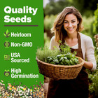 Heirloom Herb Seeds Variety Pack  5100  Seeds For Indoor   Outdoor Gardening