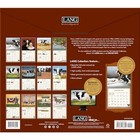 Lang Cows Cows Cows 2025 Wall Calendar