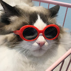 Dogs Cats Pets Glasses For Pet Small Dog Eye-wear Puppy Photos Props Sunglasses